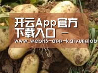 产品展示标题2