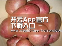 产品展示标题1