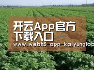 种植基地五(图1)
