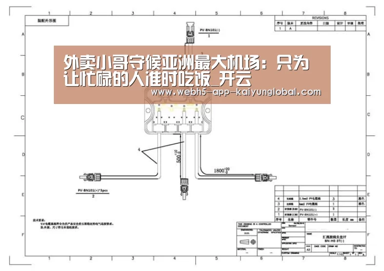 外卖小哥守候亚洲最大机场：只为让忙碌的人准时吃饭_开云(图3)