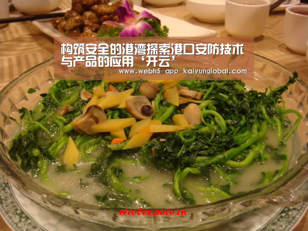 构筑安全的港湾探索港口安防技术与产品的应用‘开云’(图1)