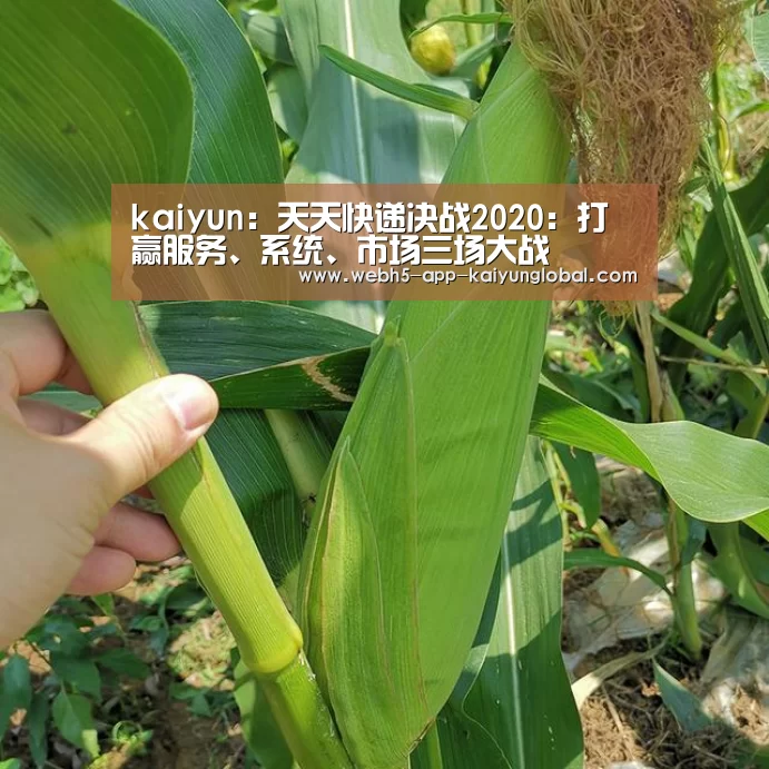 kaiyun：天天快递决战2020：打赢服务、系统、市场三场大战(图2)